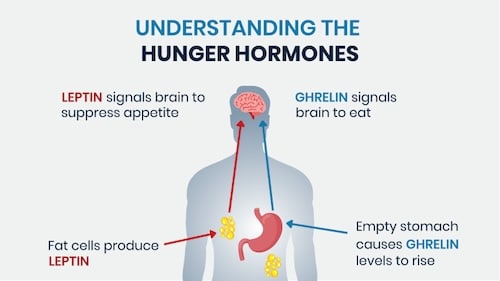 Hunger Hormones and Mimic GLP-1